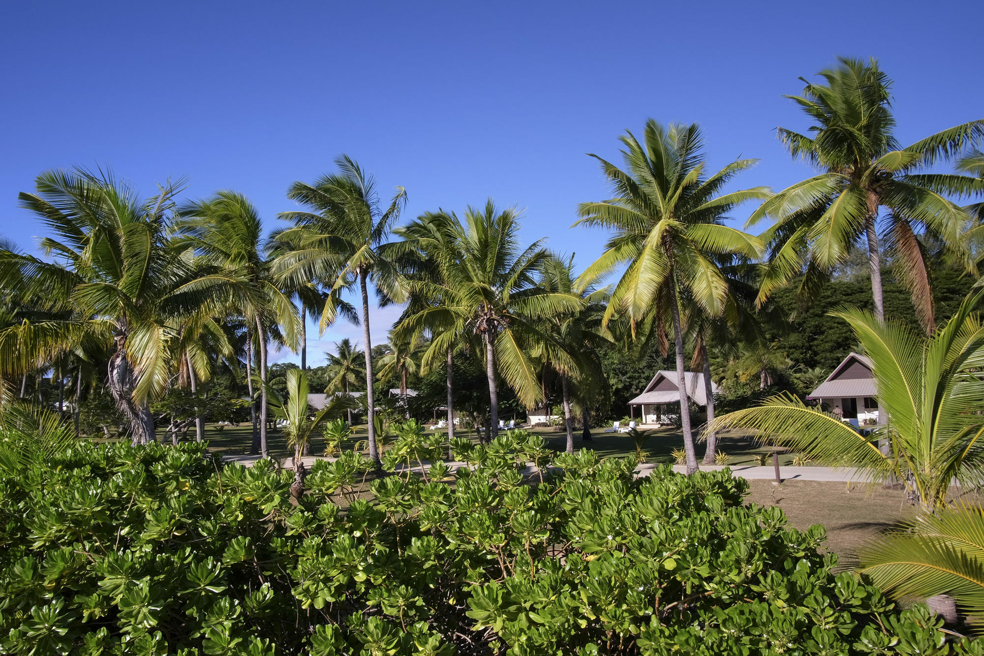 منتجع Musket Cove Island Malololailai المظهر الخارجي الصورة